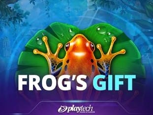 Frogs Gift screenshot